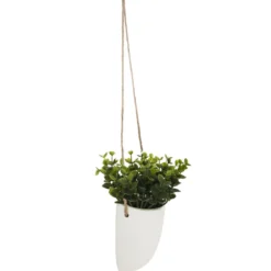 PLANTE MURALE A SUSPENDRE CERAMIQUE H.20CM