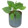 PLANTE POT CERAMIQUE REAC AZUR H.19CM