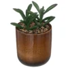 PLANTE POT CERAMIQUE REAC OCRE H.16CM
