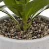 PLANTE POT CERAMIQUE REACTIVE H.30CM