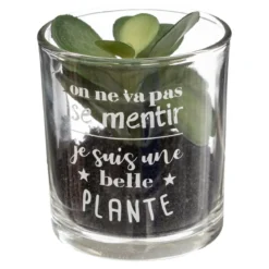PLANTE POT MESSAGE D.7X8CM