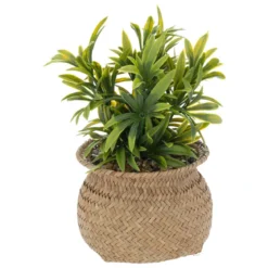 PLANTE POT NATUREL JIL H.20CM