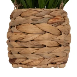 PLANTE POT SUSPENDU HERBE MODA H.27CM