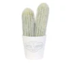 PLANTES ARTIFICIELLES CACTE 20CM