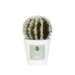 PLANTES ARTIFICIELLES CACTE 20CM