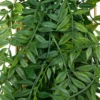PLANTE SUSPENDU POT CERAMIQUE H.82CM