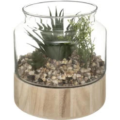 PLANTE TERRARIUM BOIS KEJO H.18CM