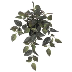 PLANTE TRADESCANTIA L.45CM