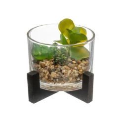 PLANTE VERRE BOIS D.13X12CM