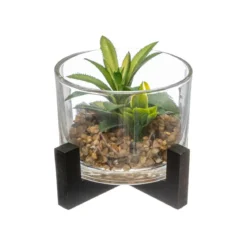PLANTE VERRE BOIS D.13X12CM