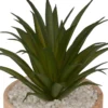 PLANTE VERRE POT CERAMIQUE BOIS SAO H.17.5CM