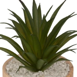 PLANTE VERRE POT CERAMIQUE BOIS SAO H.17.5CM