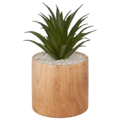 PLANTE VERRE POT CERAMIQUE BOIS SAO H.17.5CM