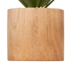 PLANTE VERRE POT CERAMIQUE BOIS SAO H.17.5CM
