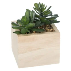PLANTE VERTE BOIS CHIC H.14CM