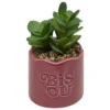 PLANTE VERTE POT CERAMIQUE CHERI H.17CM