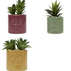 PLANTE VERTE POT CERAMIQUE CHERI H.17CM