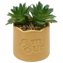 PLANTE VERTE POT CERAMIQUE CHERI H.17CM