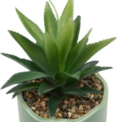 PLANTE VERTE POT CERAMIQUE CHERI H.17CM