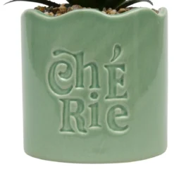 PLANTE VERTE POT CERAMIQUE CHERI H.17CM