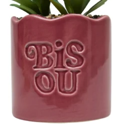 PLANTE VERTE POT CERAMIQUE CHERI H.17CM