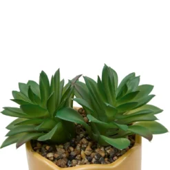 PLANTE VERTE POT CERAMIQUE CHERI H.17CM