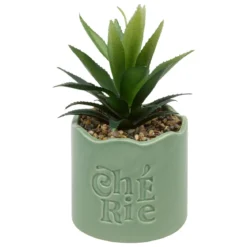 PLANTE VERTE POT CERAMIQUE CHERI H.17CM