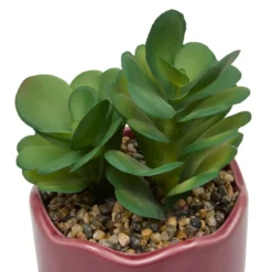 PLANTE VERTE POT CERAMIQUE CHERI H.17CM