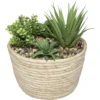 PLANTE VERTE POT NATUREL HOCI H.19CM