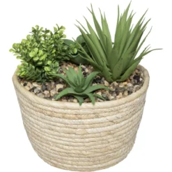 PLANTE VERTE POT NATUREL HOCI H.19CM