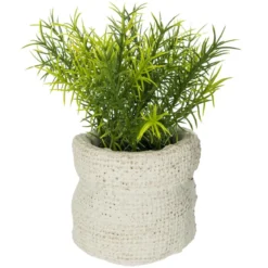 PLANTE VERTE SAC CIMENT VENT H.14CM
