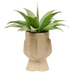 PLANTE VISAGE AGAVE SIEN H.48CM