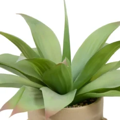 PLANTE VISAGE AGAVE SIEN H.48CM
