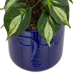 PLANTE VISAGE POT CERAMIQUE SOLEYA H.30CM