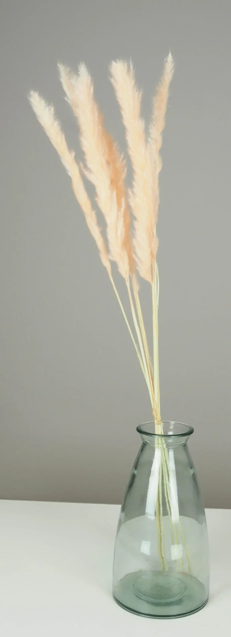 PLUMEAU PAMPA NATUREL H.90CM ROSE X6 PIECES