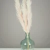 PLUMEAU PAMPA NATUREL H.110CM ROSE X3 PIECES