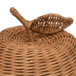POMME ROTIN METAL LOUR D.20CM