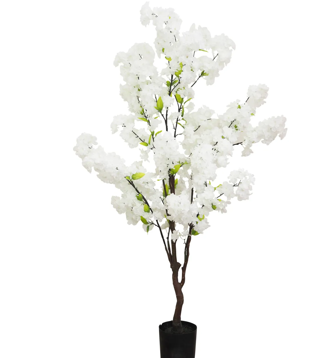 POMMIER POT PLASTIQUE NOIR H.130CM BLANC