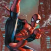 POSTER SPIDER MAN MAXI 61X91.5CM