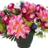 POT BOUTON ROSE DAHLIA H30CM ASSORTIS