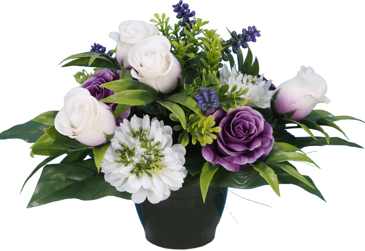 POT BOUTON ROSE ZINNIA LAVANDE