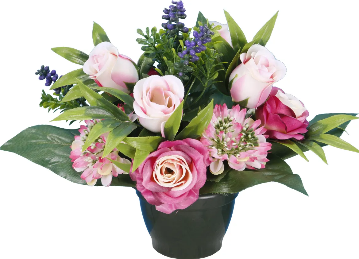 POT BOUTON ROSE ZINNIA LAVANDE