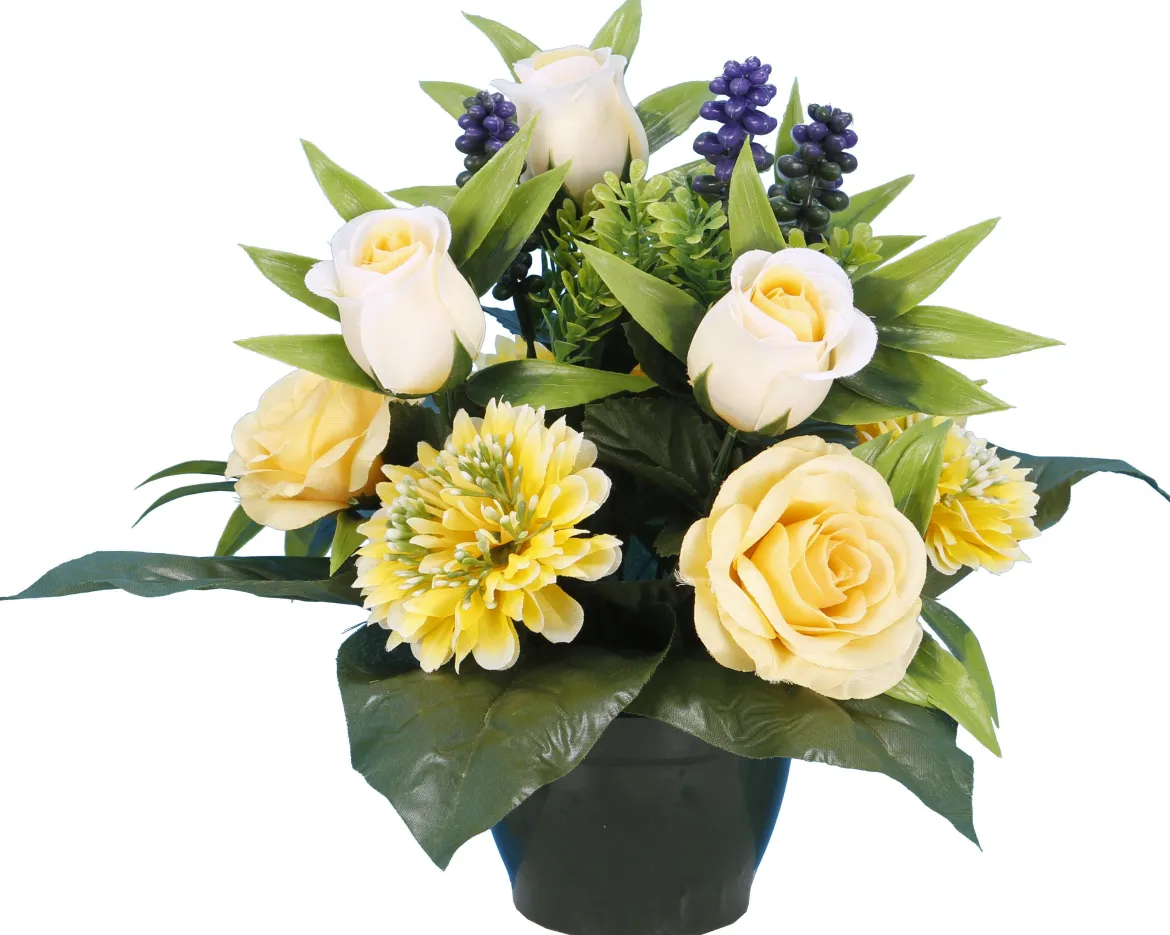POT BOUTON ROSE ZINNIA LAVANDE
