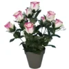 POT BOUTONS DE ROSES