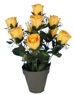 POT BOUTONS DE ROSES