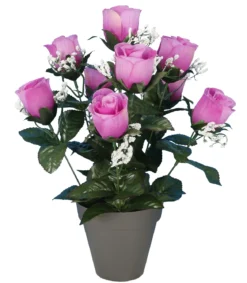 POT BOUTONS DE ROSES