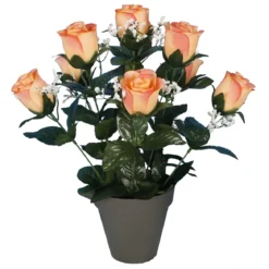 POT BOUTONS DE ROSES