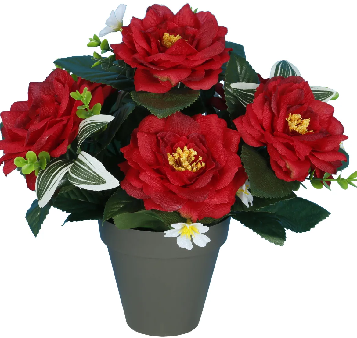 POT CAMELIAS