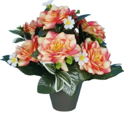 POT CAMELIAS