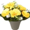 POT CHRYSANTHEMES H22CM